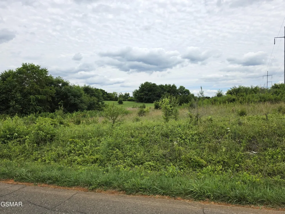 18 Baker Springs Road White Pine, TN 37890