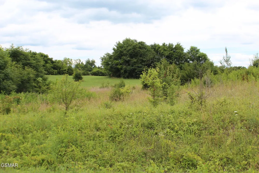 18 Baker Springs Road White Pine, TN 37890