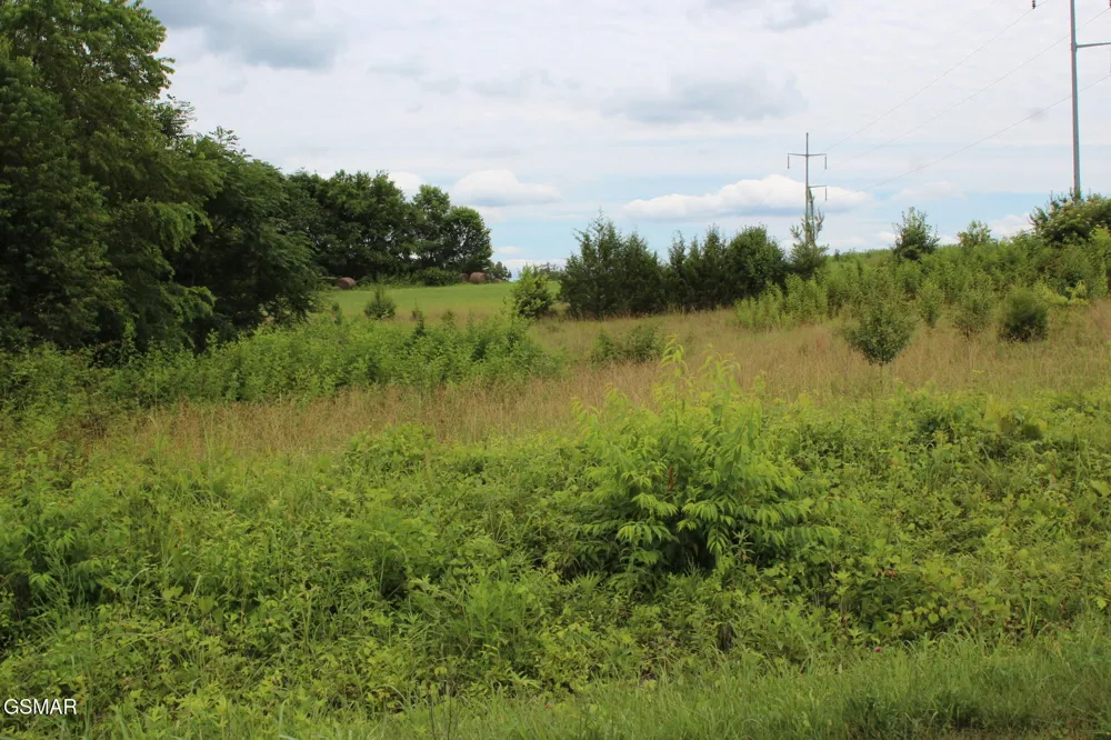 18 Baker Springs Road White Pine, TN 37890