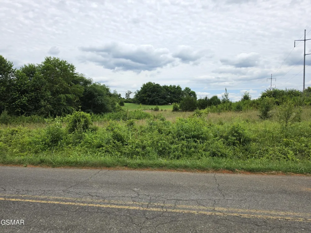 18 Baker Springs Road White Pine, TN 37890