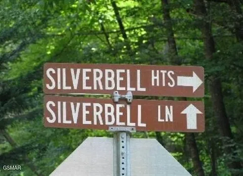 329 Silverbell Lane