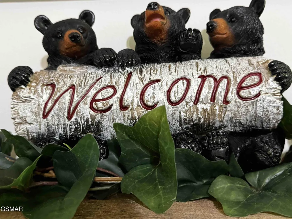 653 Oaks View Court #ADALYNNSRETREAT Pigeon Forge, TN 37863