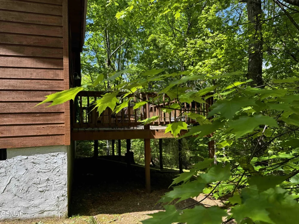 653 Oaks View Court #ADALYNNSRETREAT Pigeon Forge, TN 37863