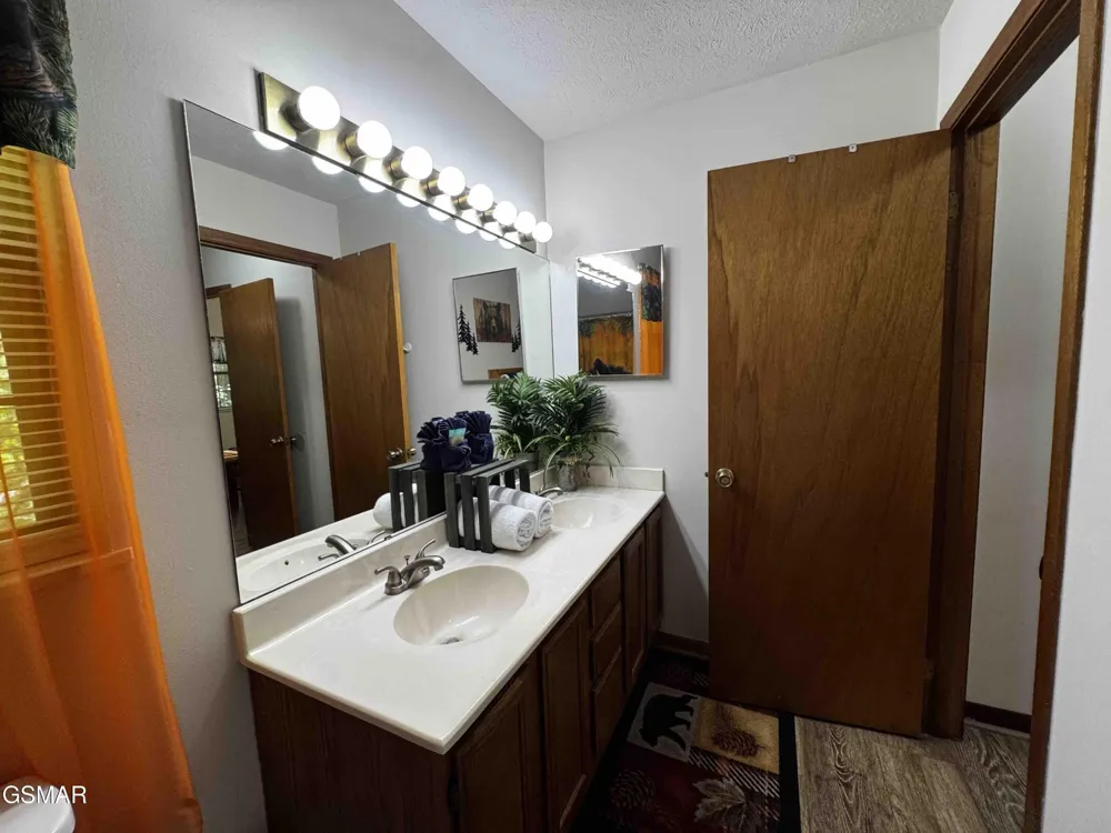 653 Oaks View Court #ADALYNNSRETREAT Pigeon Forge, TN 37863