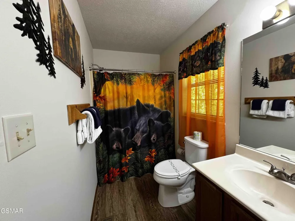 653 Oaks View Court #ADALYNNSRETREAT Pigeon Forge, TN 37863