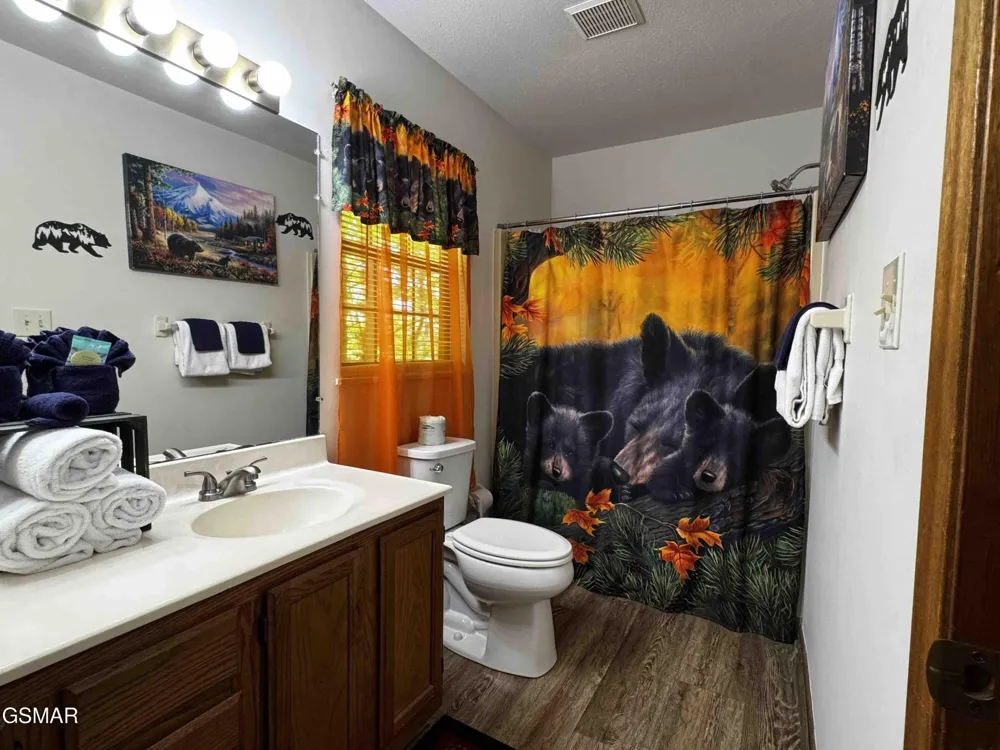 653 Oaks View Court #ADALYNNSRETREAT Pigeon Forge, TN 37863