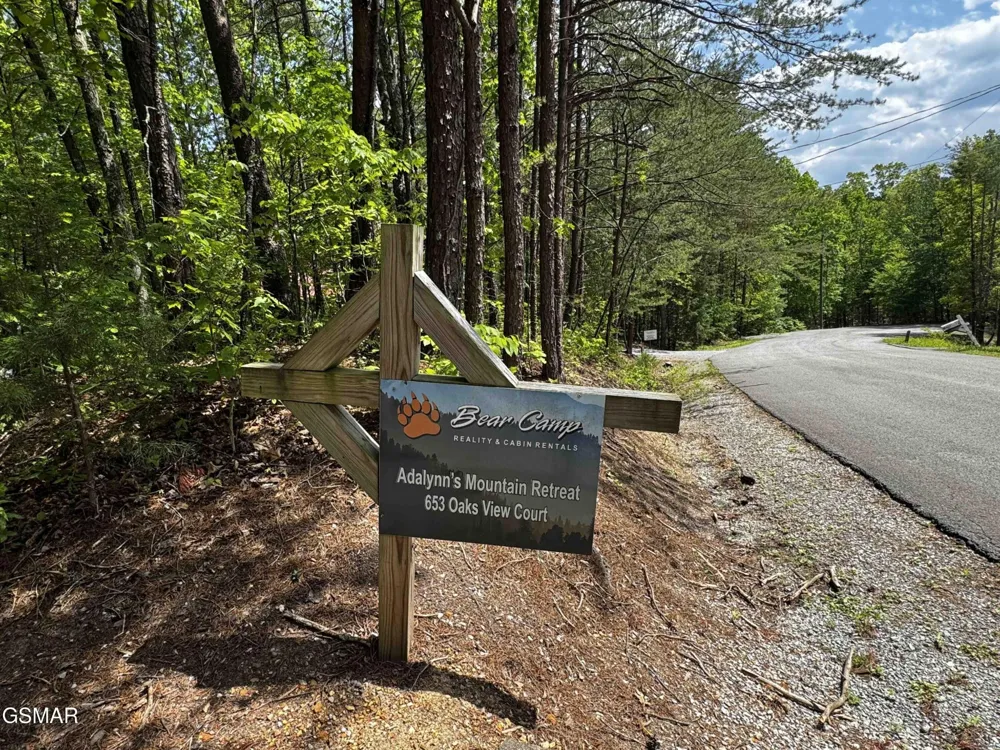 653 Oaks View Court #ADALYNNSRETREAT Pigeon Forge, TN 37863