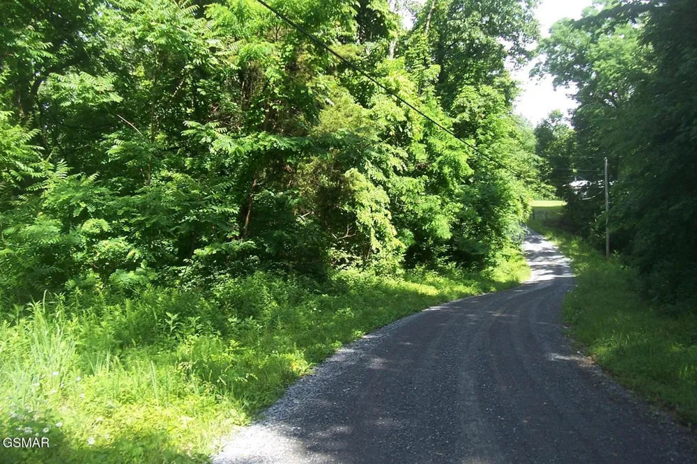 21 Clearwood Road Newport, TN 37821