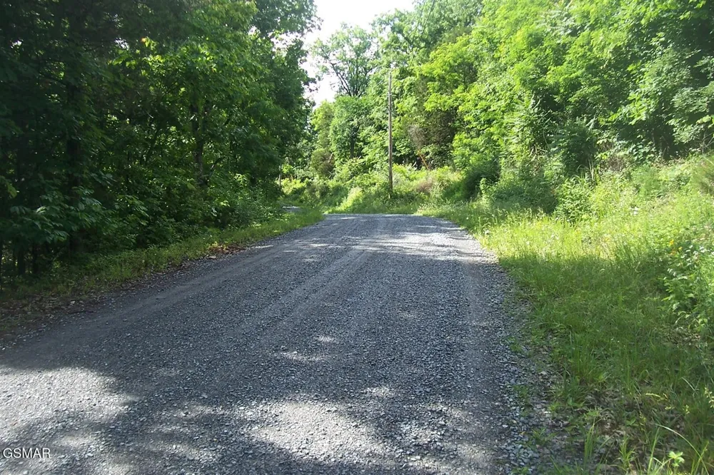 21 Clearwood Road Newport, TN 37821
