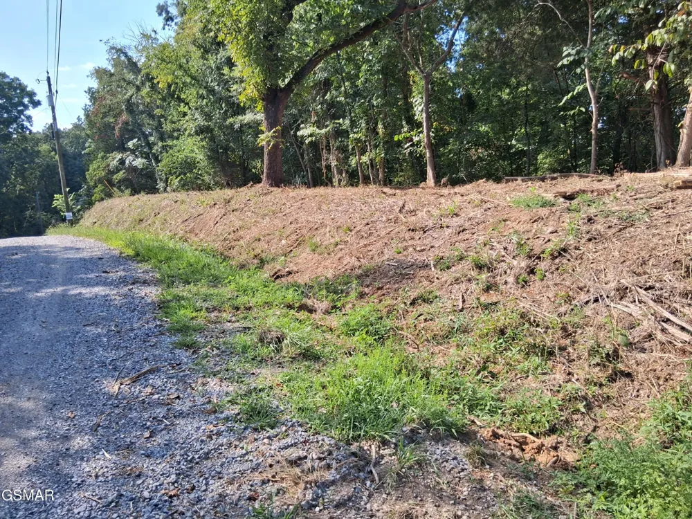 21 Clearwood Road Newport, TN 37821