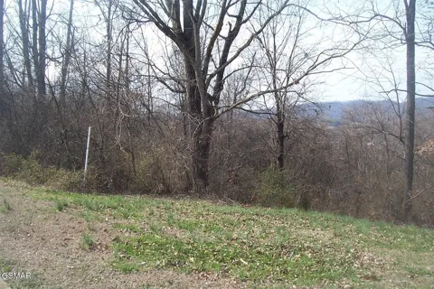 142 Low Valley Road