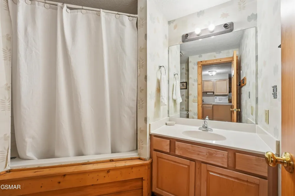 336 Big Bear Way Pigeon Forge, TN 37863