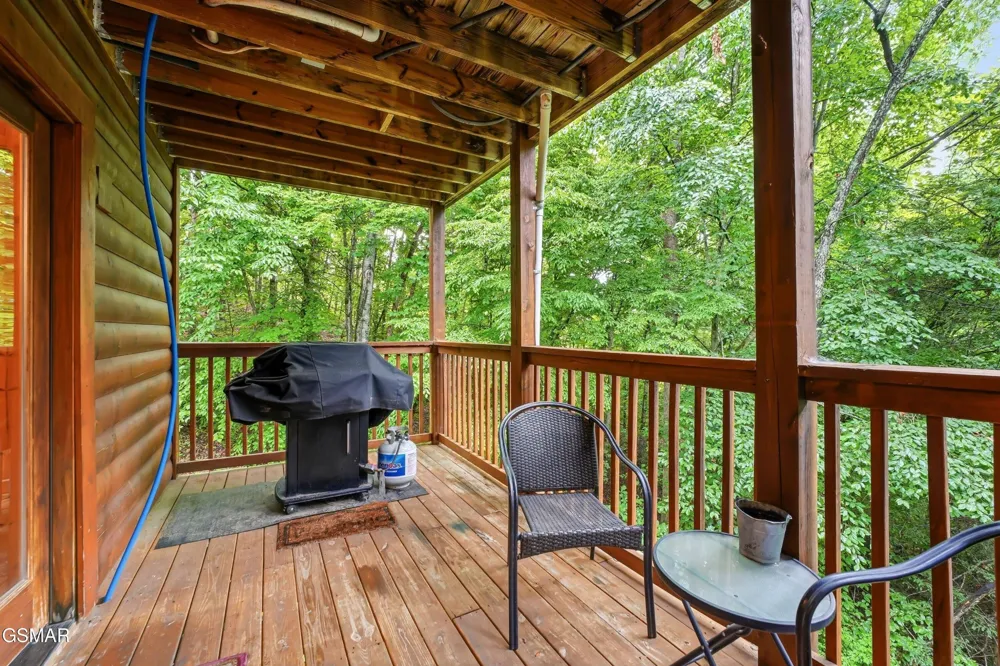 336 Big Bear Way Pigeon Forge, TN 37863