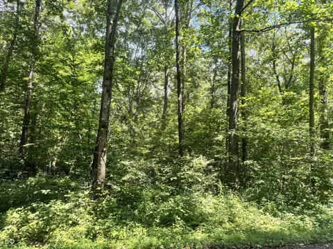 145 White Oak