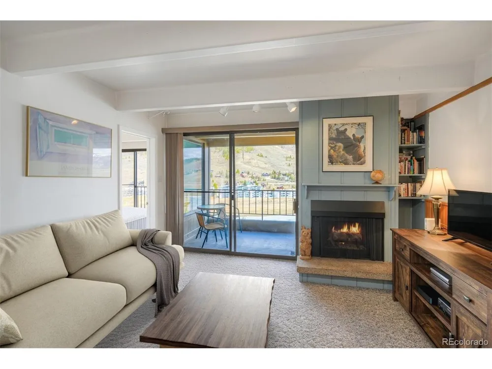 220 E La Bonte Street #307 Dillon, CO 80435
