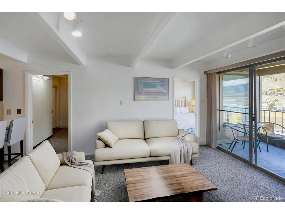220 E La Bonte Street #307 Dillon, CO 80435