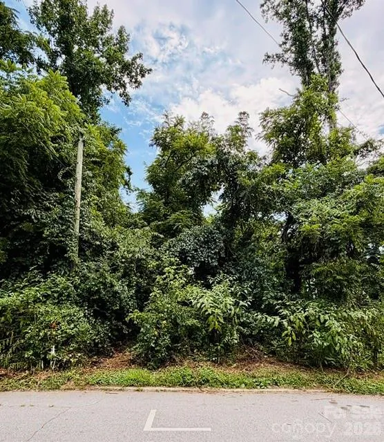 99999 Fairfax Avenue Asheville, NC 28806