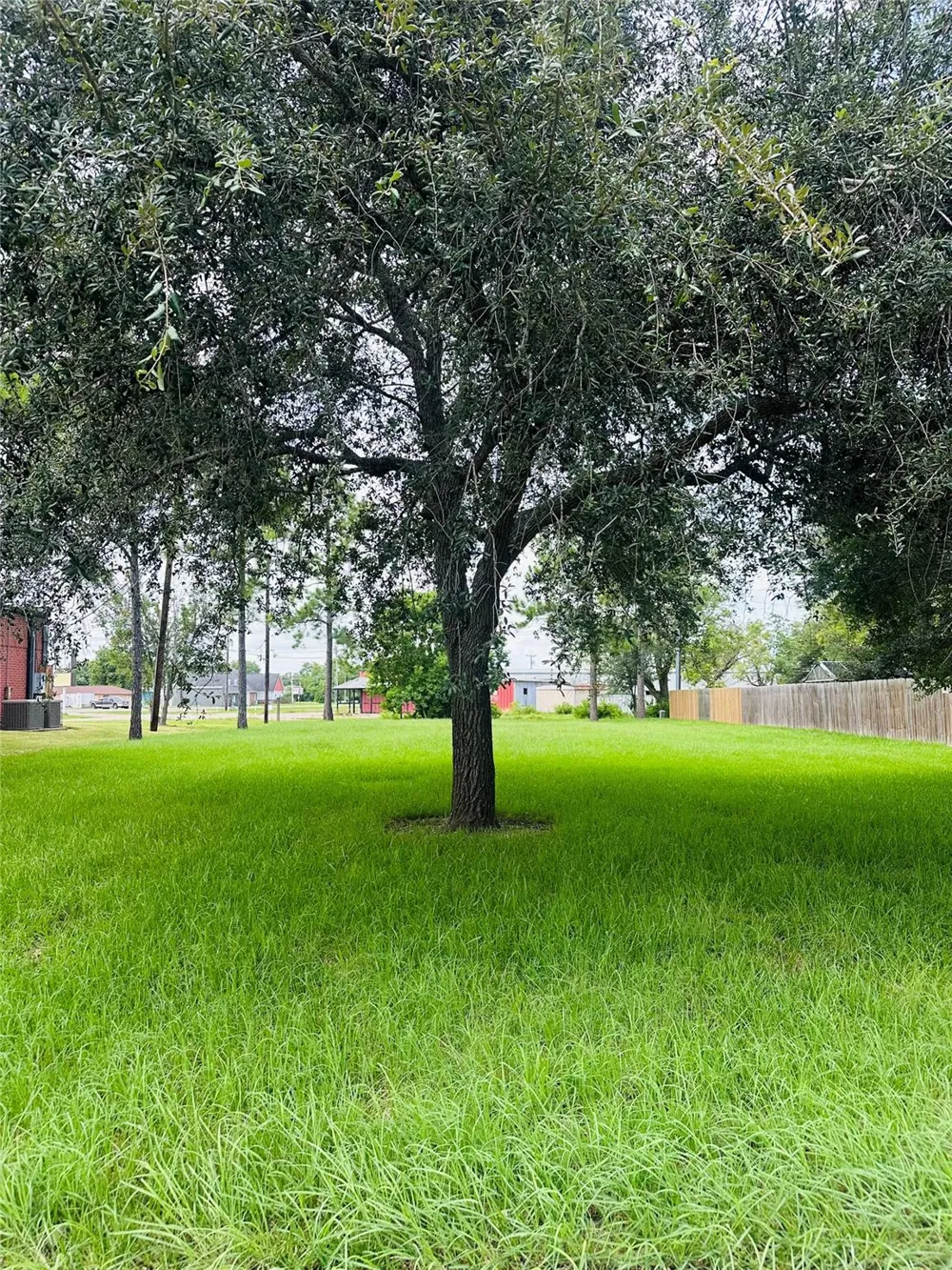 101 Knight Street Angleton, TX 77515