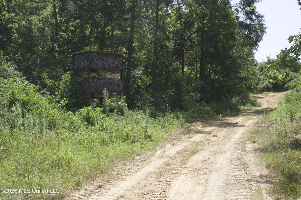 0 Ms-35 Charleston, MS 38921