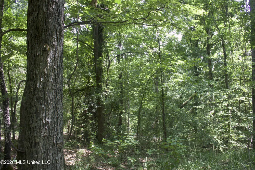 0 Ms-35 Charleston, MS 38921