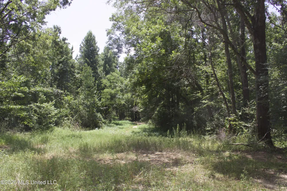 0 Ms-35 Charleston, MS 38921