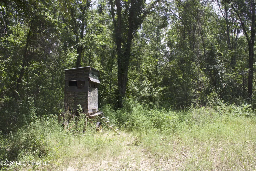0 Ms-35 Charleston, MS 38921