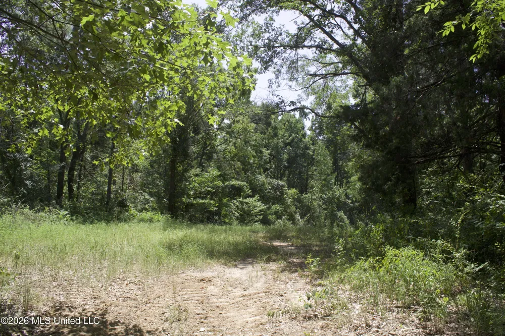 0 Ms-35 Charleston, MS 38921