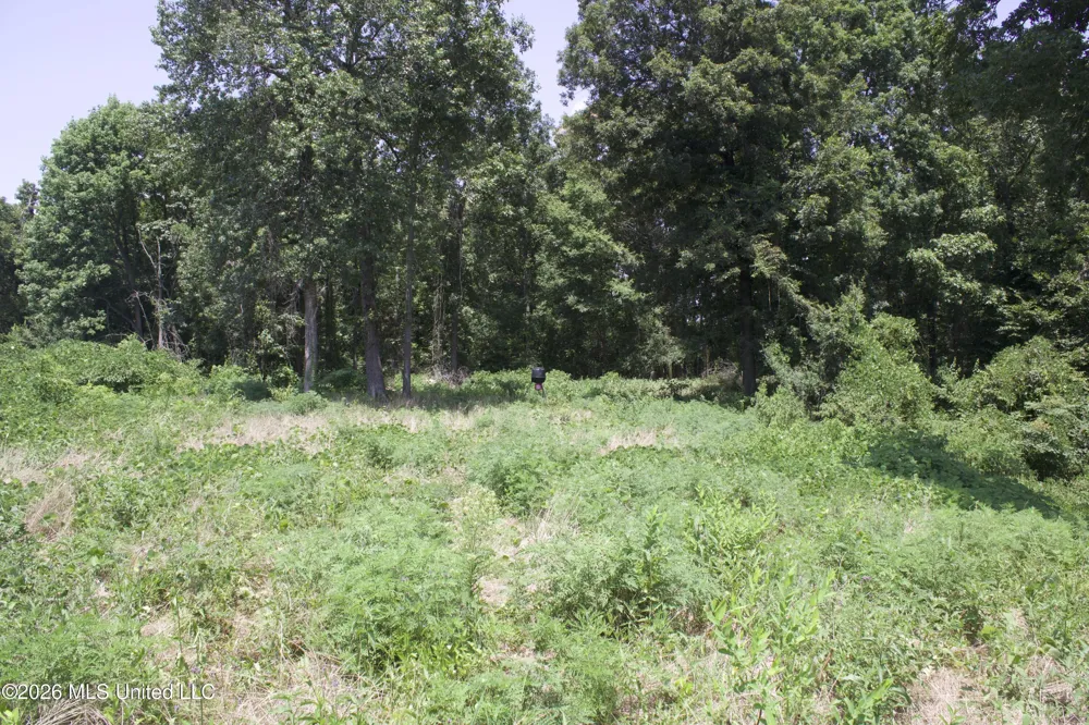 0 Ms-35 Charleston, MS 38921
