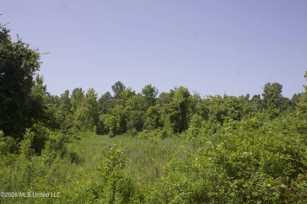 0 Ms-35 Charleston, MS 38921