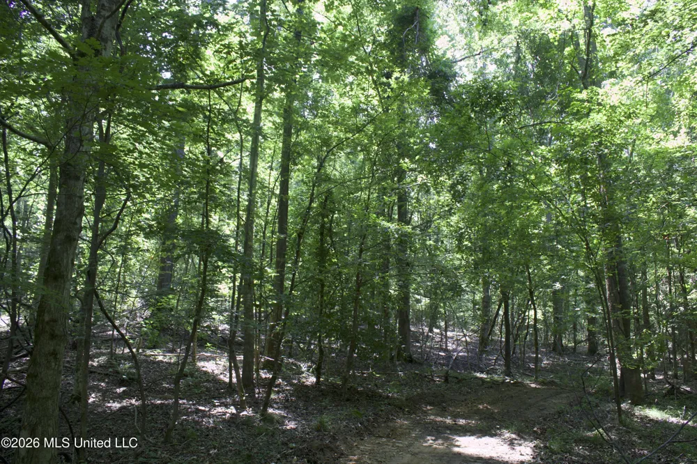 0 Ms-35 Charleston, MS 38921
