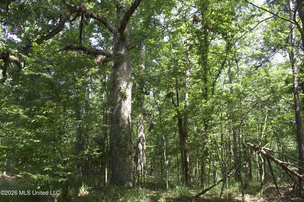 0 Ms-35 Charleston, MS 38921