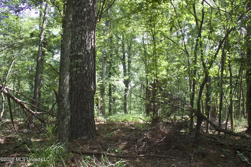 0 Ms-35 Charleston, MS 38921