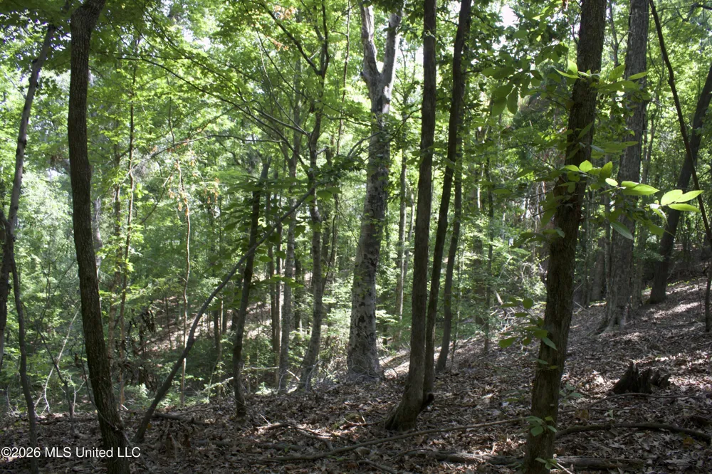 0 Ms-35 Charleston, MS 38921