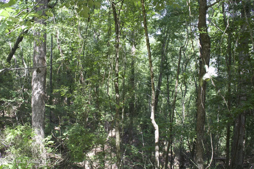 0 Ms-35 Charleston, MS 38921