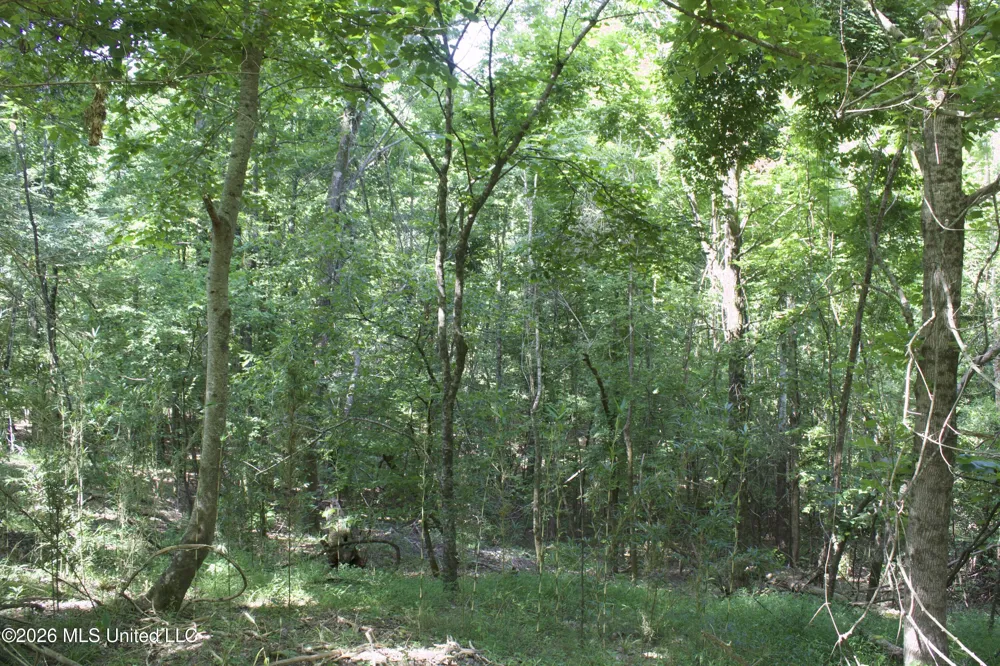0 Ms-35 Charleston, MS 38921