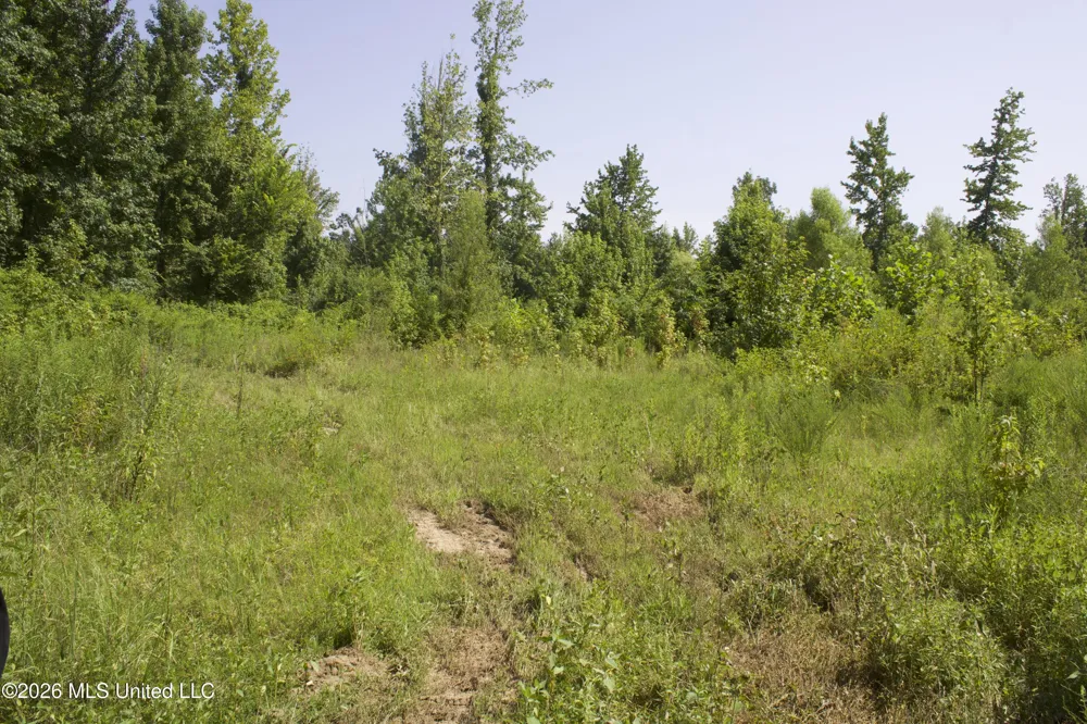 0 Ms-35 Charleston, MS 38921