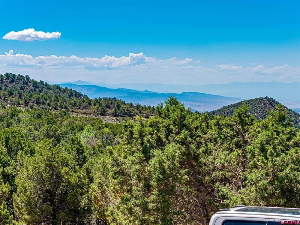 21582 Uintah Road Cedaredge, CO 81413