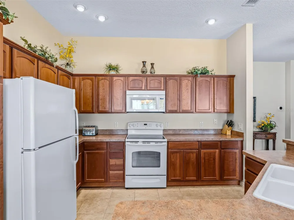 1134 SOUTHERN SUN DRIVE The Villages, FL 32162