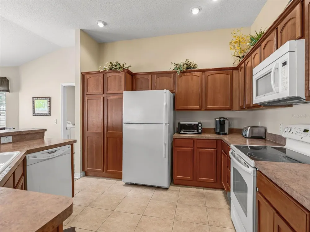 1134 SOUTHERN SUN DRIVE The Villages, FL 32162