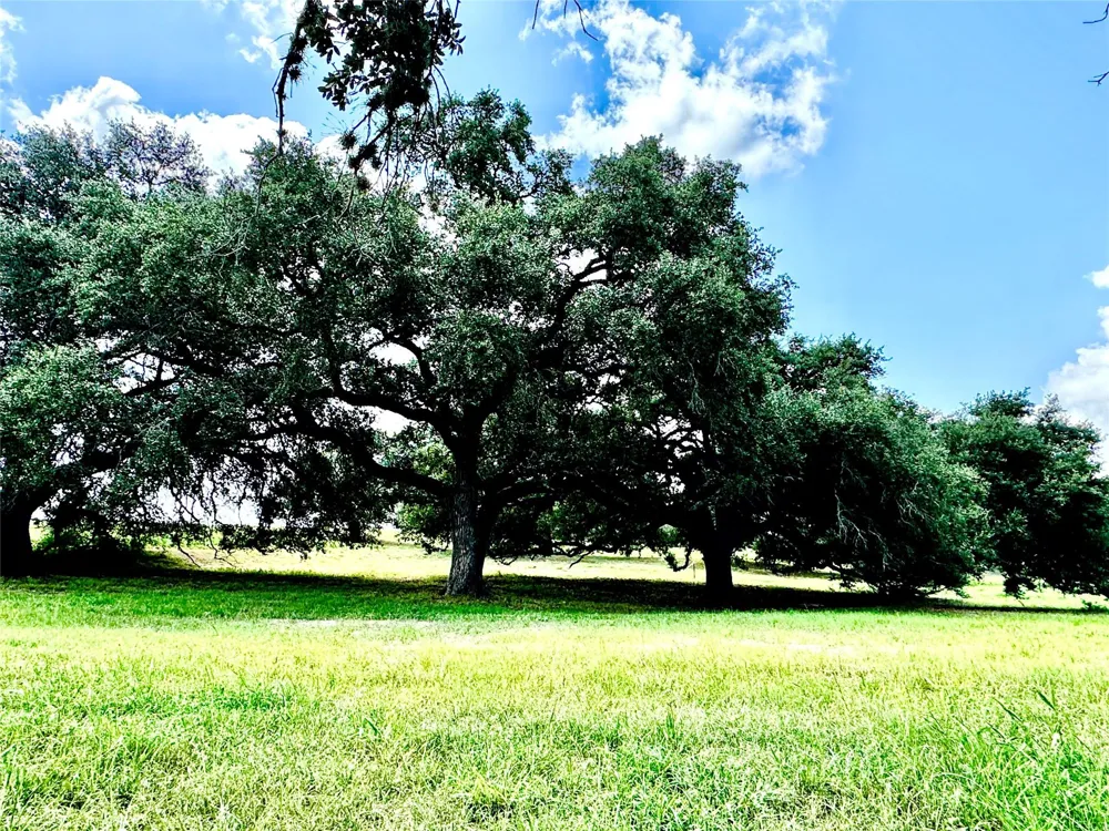 427 Knezek Road Flatonia, TX 78941