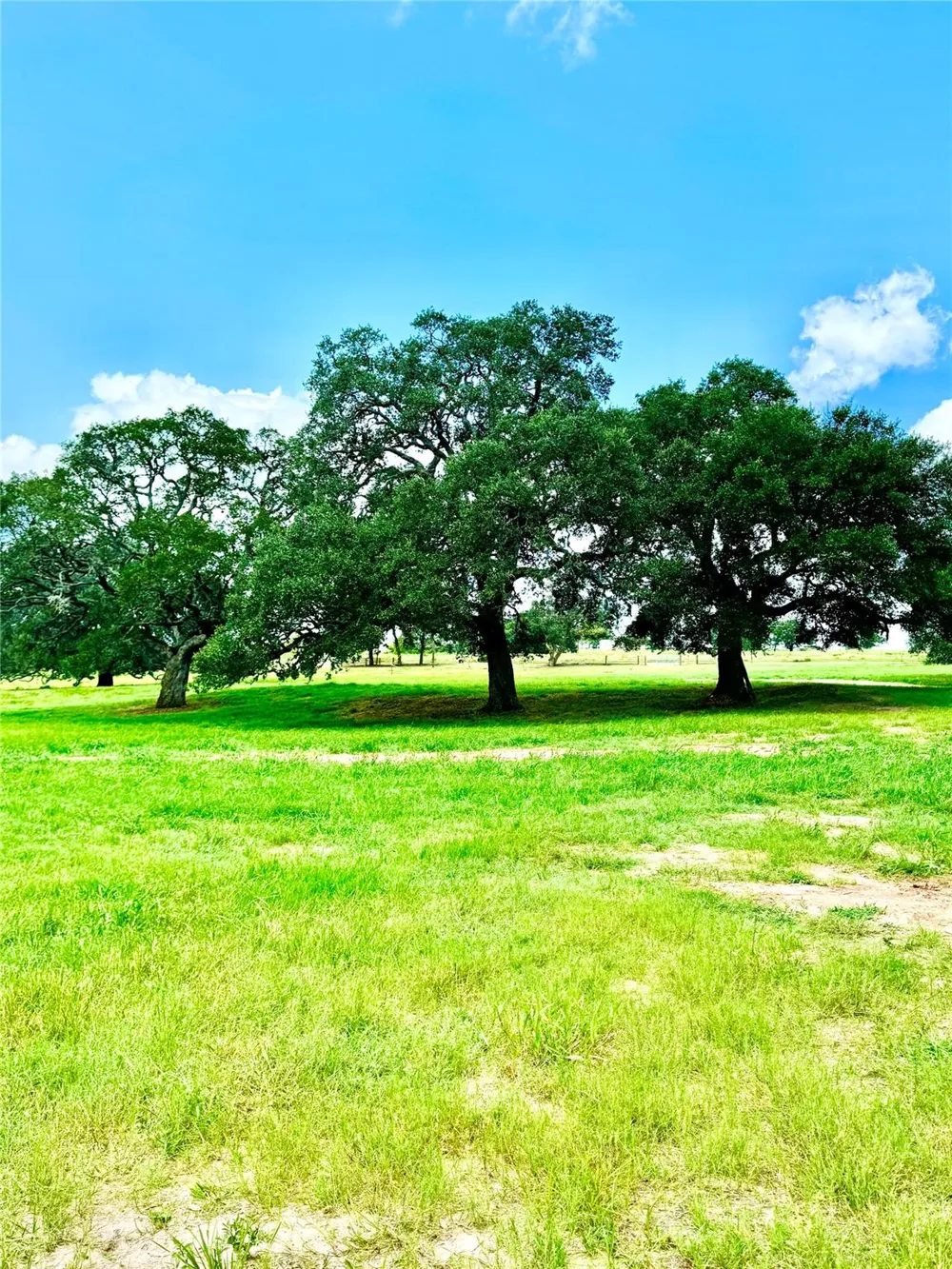 427 Knezek Road Flatonia, TX 78941