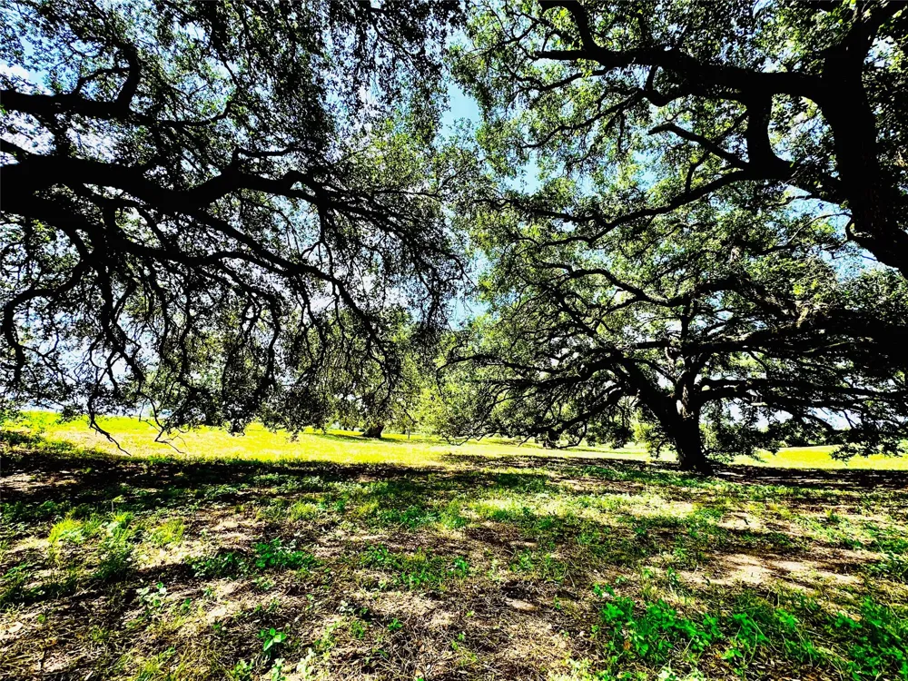 427 Knezek Road Flatonia, TX 78941