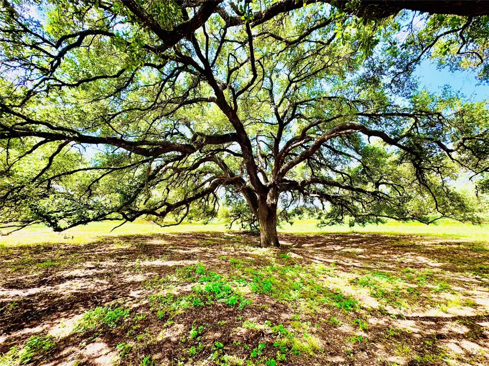 427 Knezek Road Flatonia, TX 78941