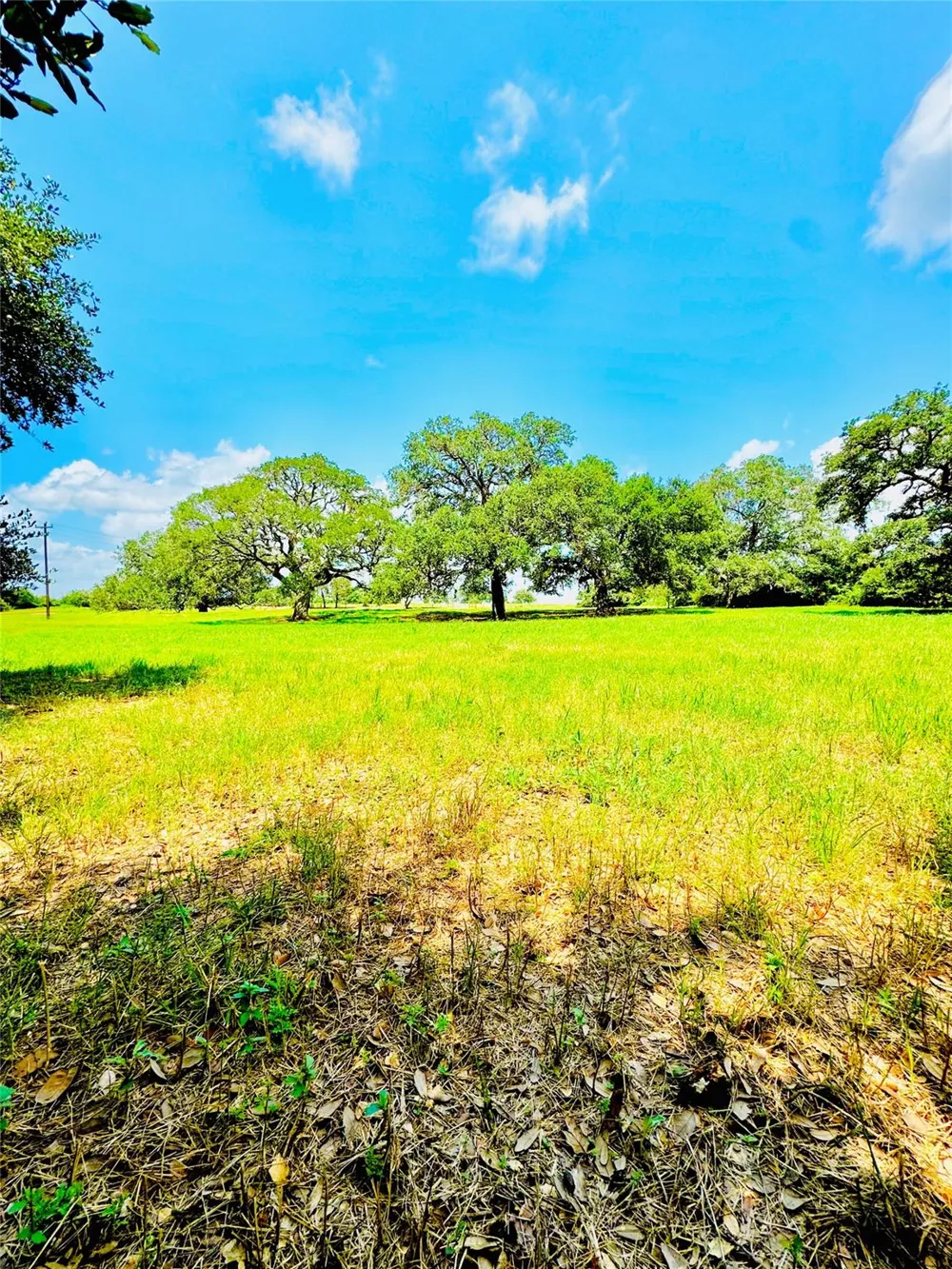 427 Knezek Road Flatonia, TX 78941