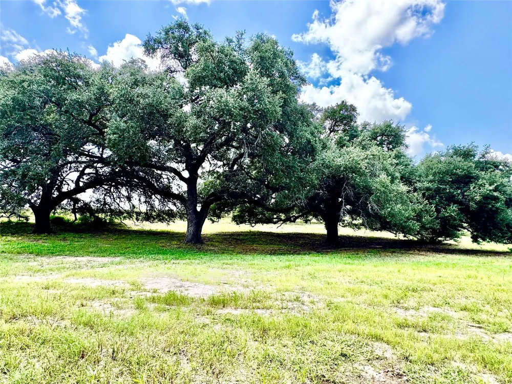 427 Knezek Road Flatonia, TX 78941