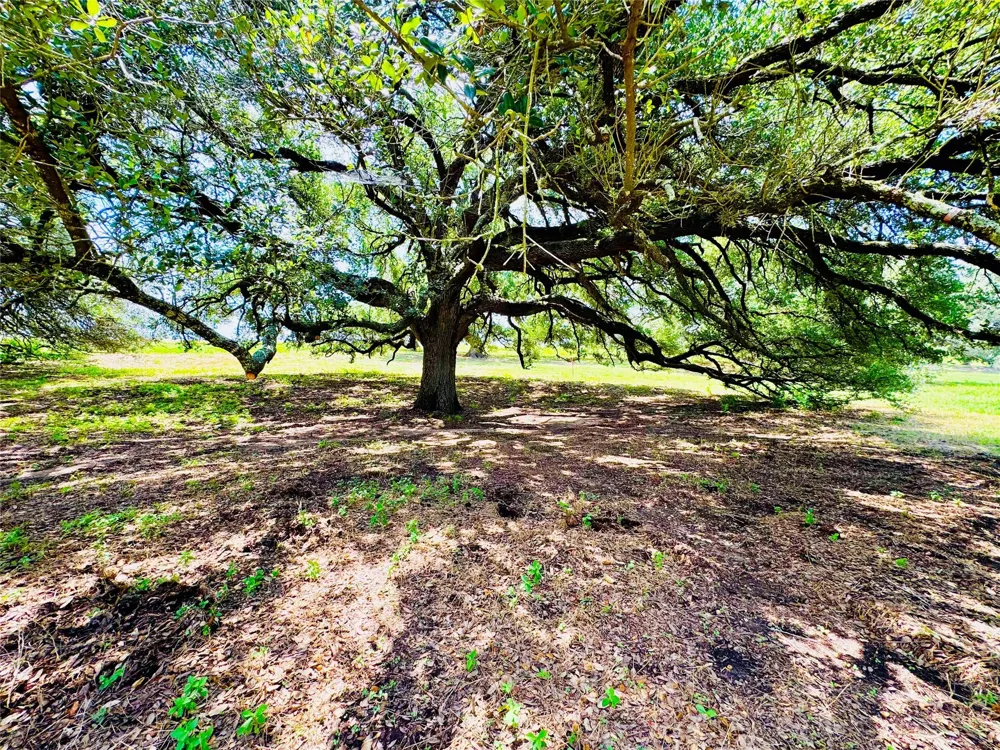 427 Knezek Road Flatonia, TX 78941