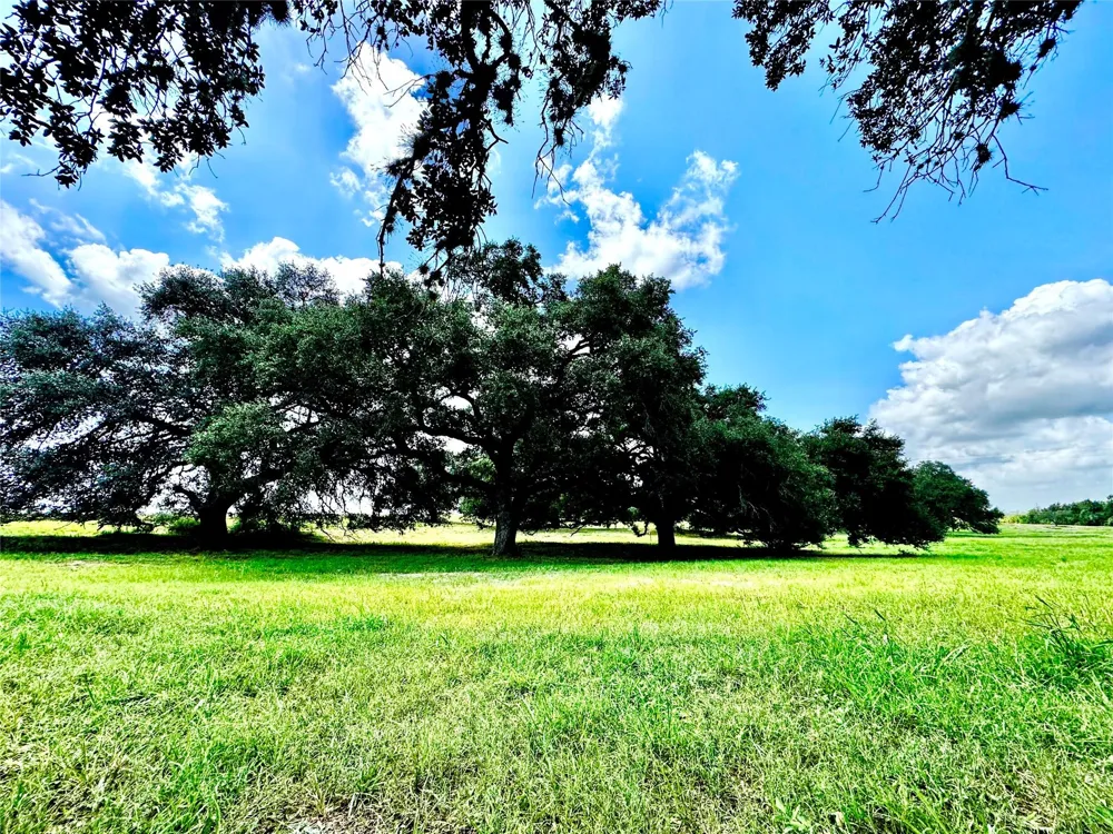427 Knezek Road Flatonia, TX 78941