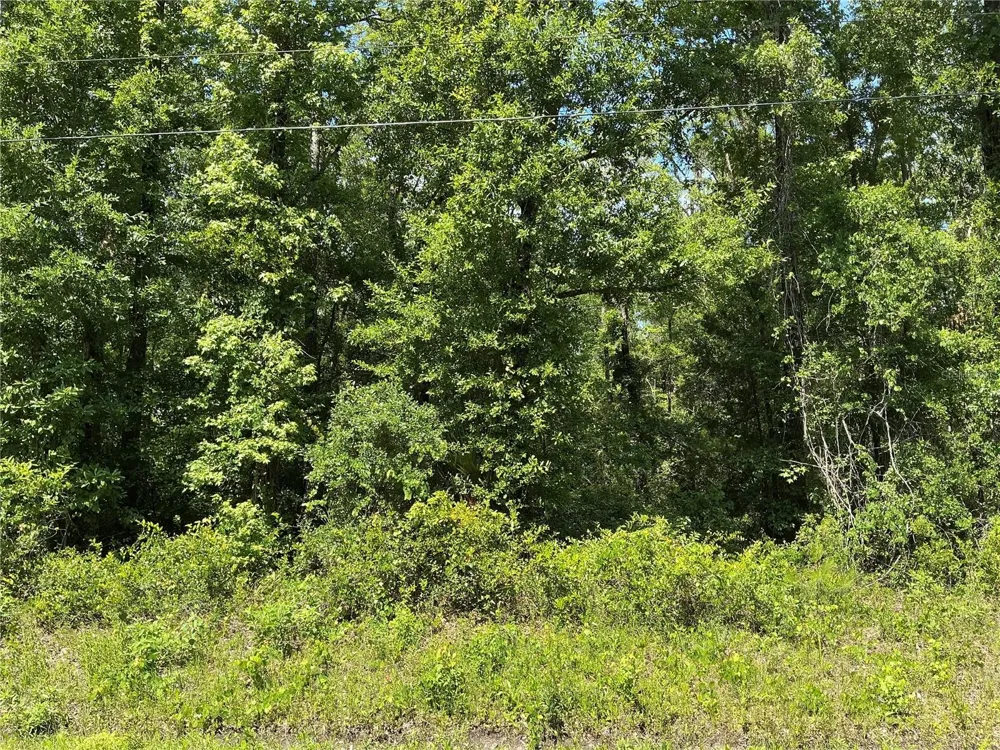 10135 MCMAHON AVENUE Hastings, FL 32145