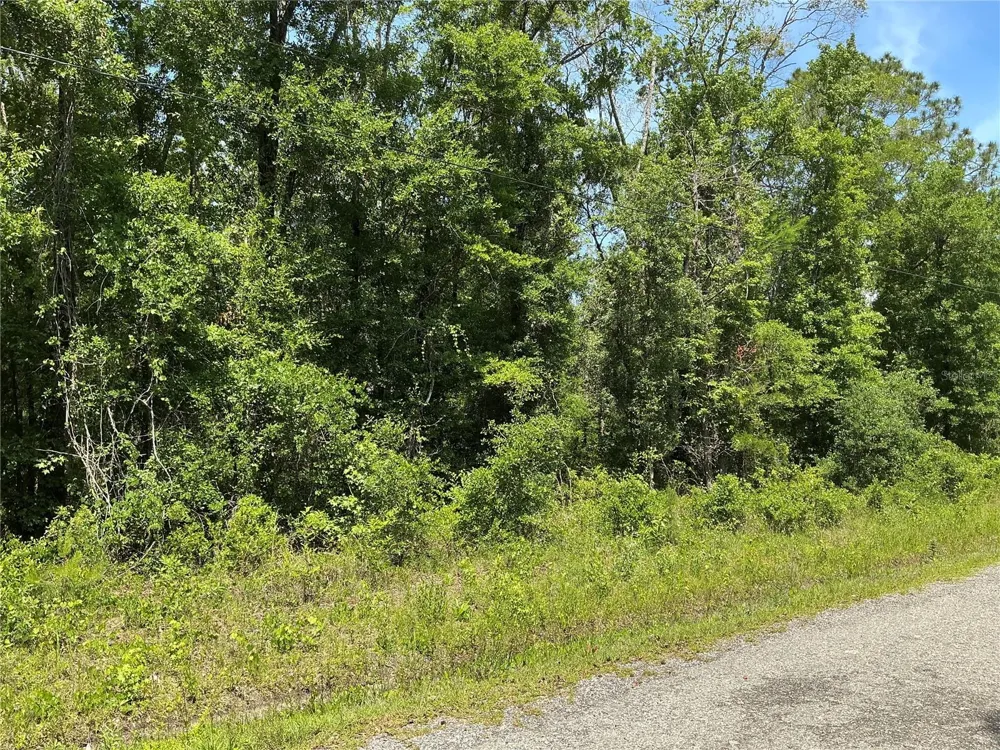 10135 MCMAHON AVENUE Hastings, FL 32145
