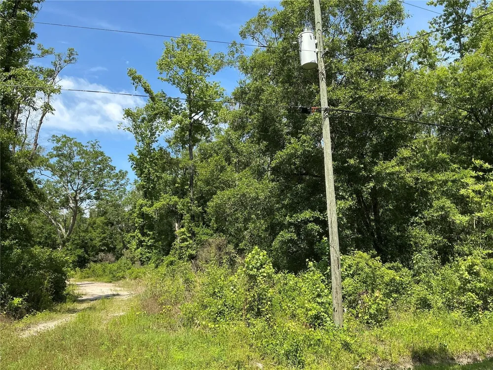 10135 MCMAHON AVENUE Hastings, FL 32145